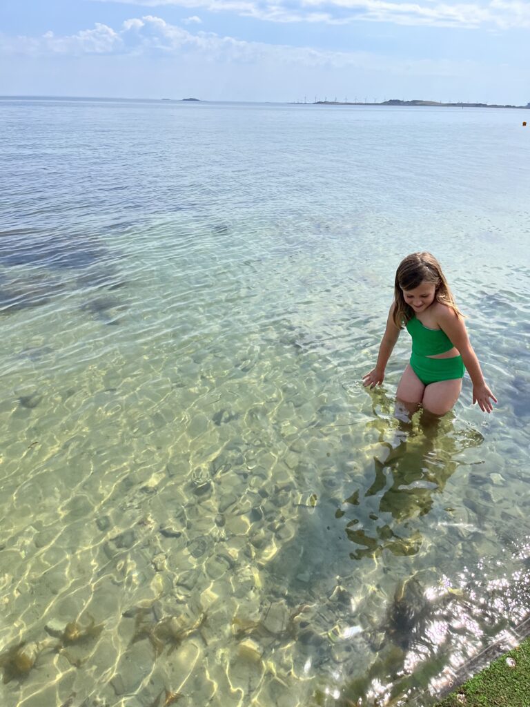 Charlottenlund Beach Park spring dip