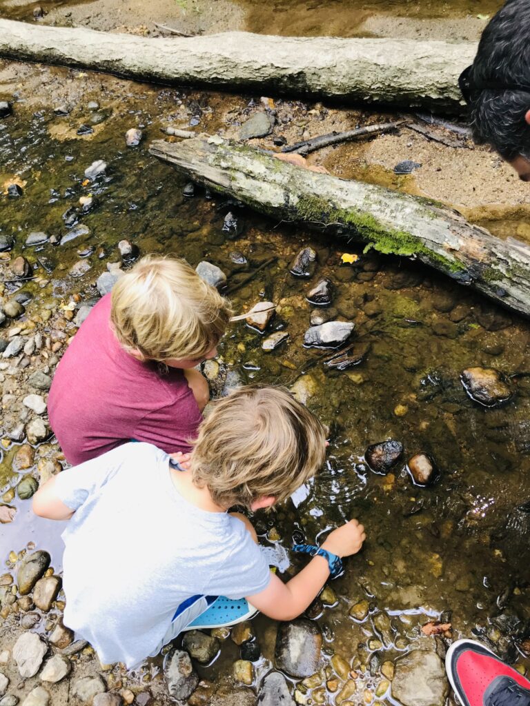 Kids playing in the creek in North Carolina