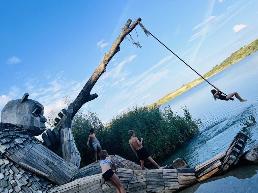 Kids playing on a troll rope swing.