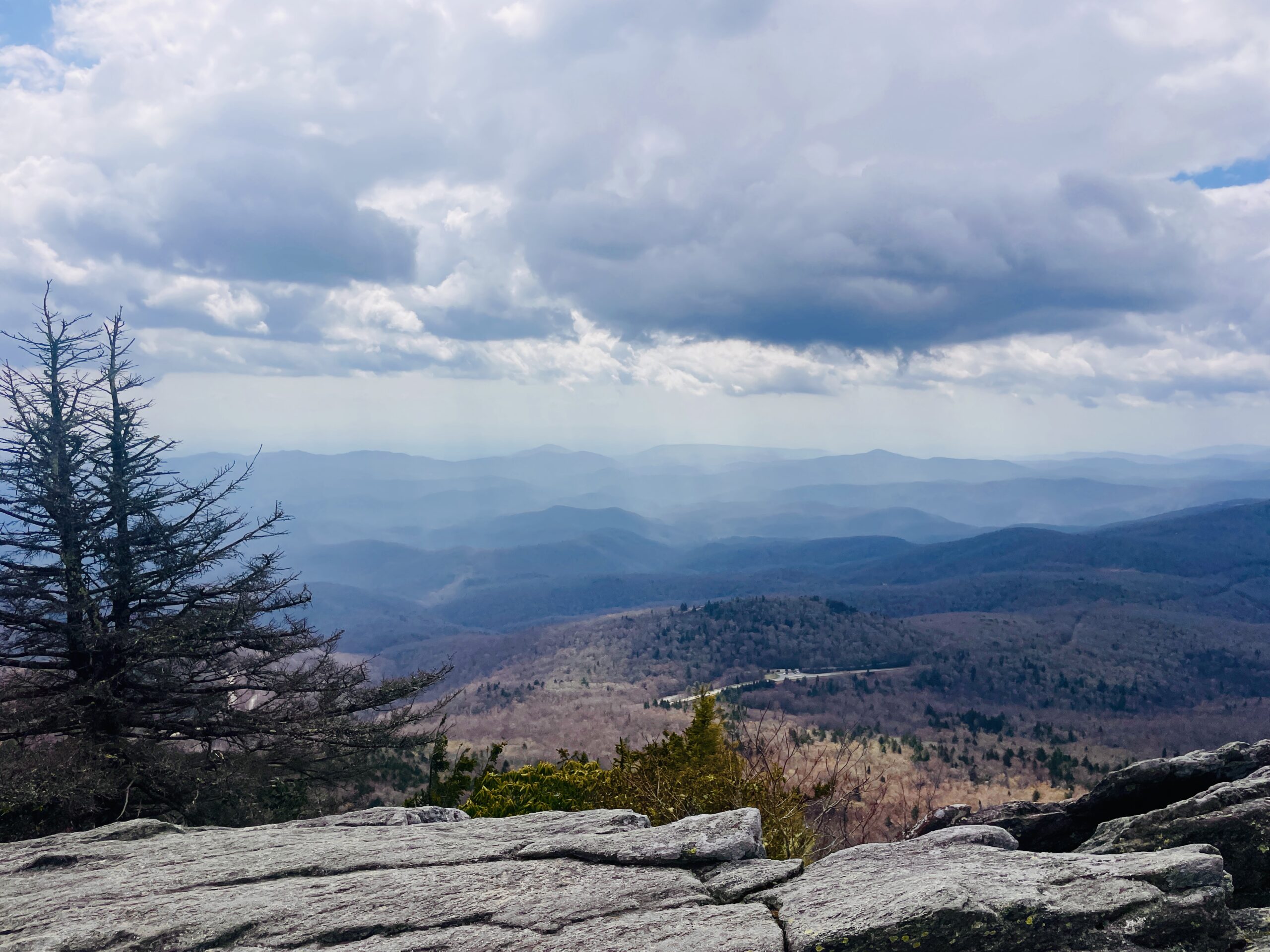 grandfather mountain