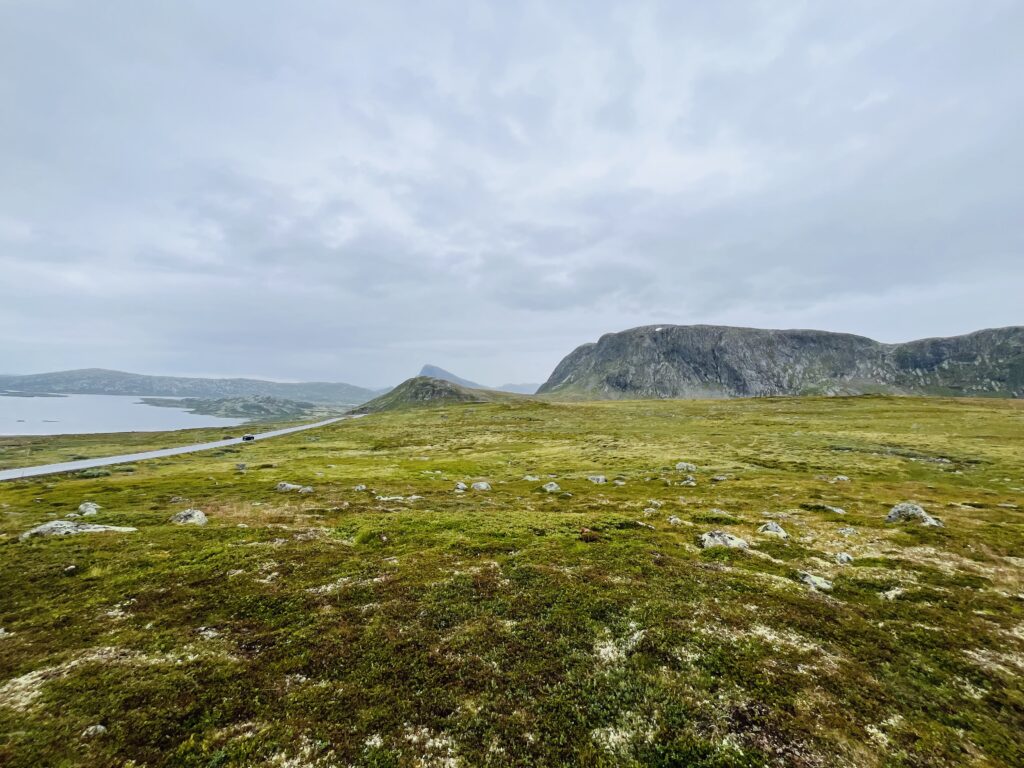 Valdresflye Scenic Route