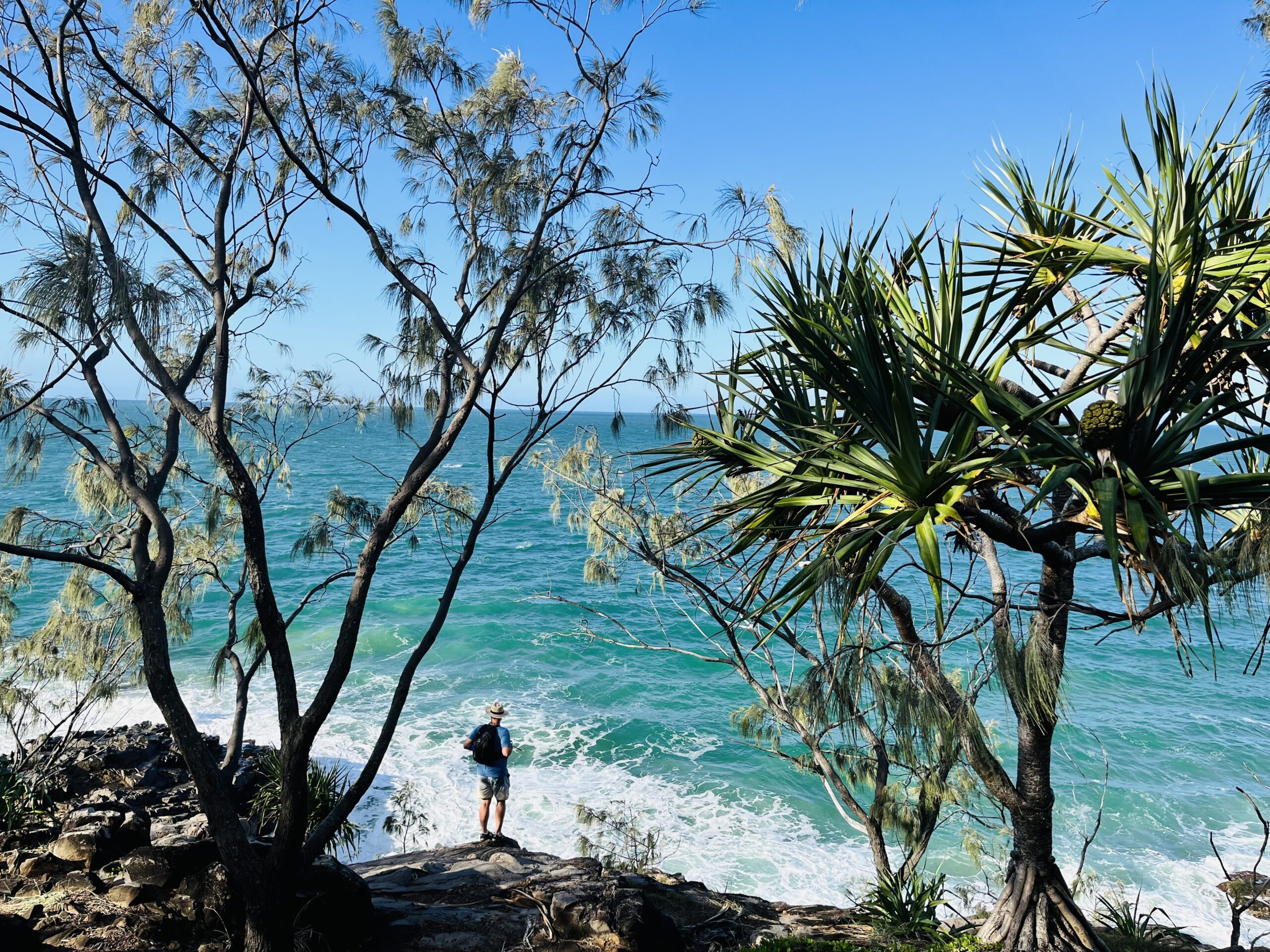 A man checks out Noosa National Park in Australia