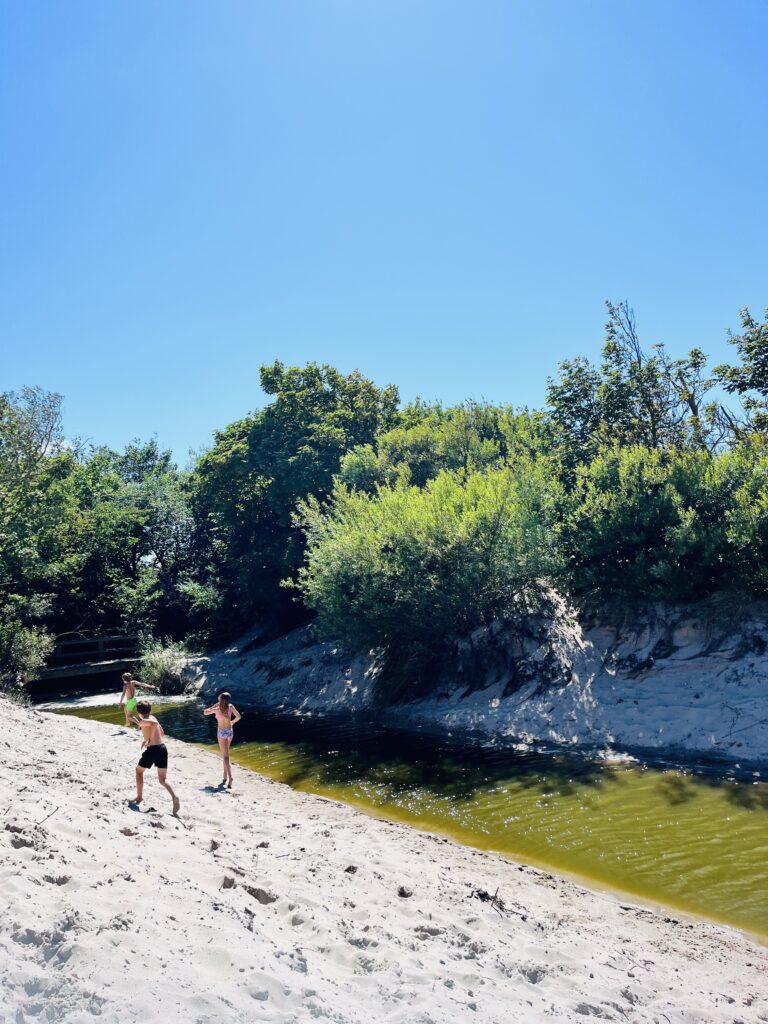 Tidal creek in Hornbæk